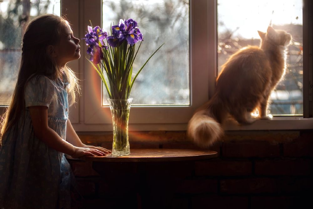 Обои для рабочего стола Девочка стоит у стола с ирисами в вазе, на подоконнике окна сидит кошка. Фотограф Лилия Немыкина