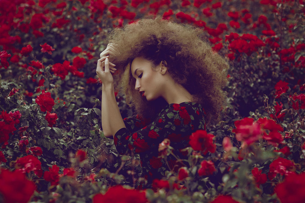 Обои для рабочего стола Девушка стоит среди красных роз, by Mara Saiz Photo