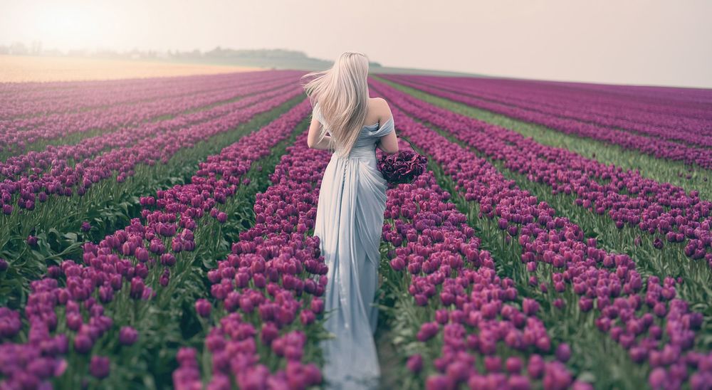 Обои для рабочего стола Девушка стоит на поле тюльпанов, фотограф Miss Froggi