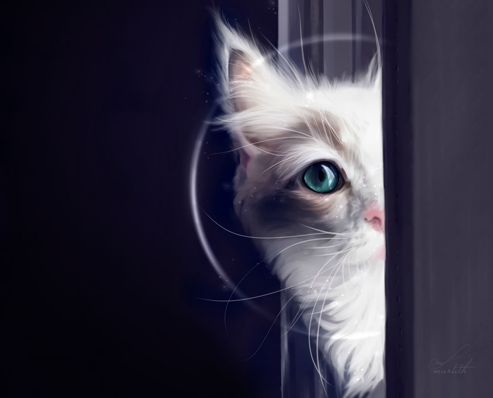 Обои для рабочего стола Выглядывающая белая кошечка, by Martith