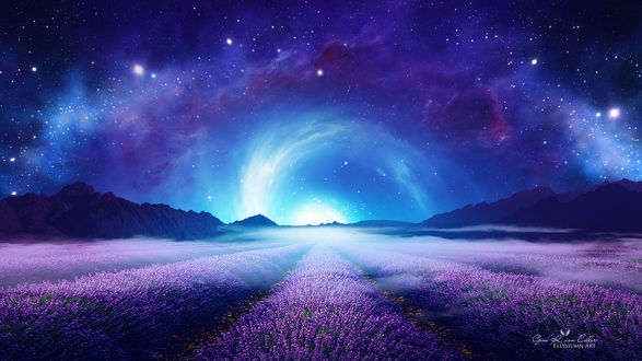 Обои на рабочий стол Лавандовые поля в легком тумане на фоне ночного неба, by Gene Raz von Edler