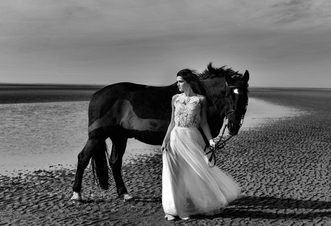 Черно Белое Фото Лошади