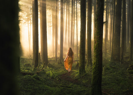 Обои на рабочий стол Девушка идет по лесу, освещенном солнцем, by Lizzy Gadd