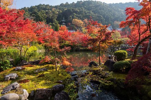 Обои на рабочий стол Пруд в окружении осенних деревьев в парке, Kyoto / Киото, Japan / Япония