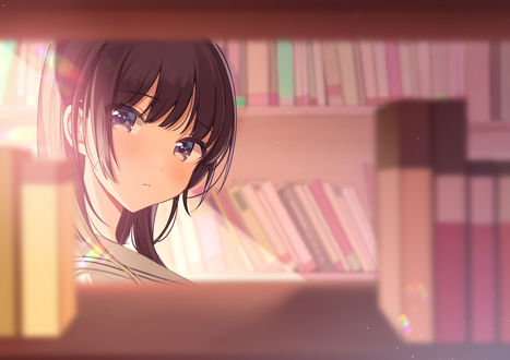 Обои на рабочий стол Девушка среди шкафов с книгами
