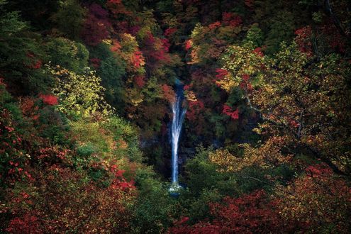 Обои на рабочий стол Komadome falls / Комадомский водопад среди осеннего леса, Nasu, Japan / Насу, Япония, фотограф Tsuyoshi Shirahama