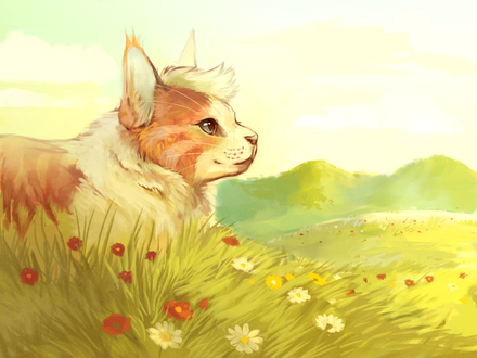 Обои на рабочий стол Полосатая кошка на цветочной поляне, by Limecrumble