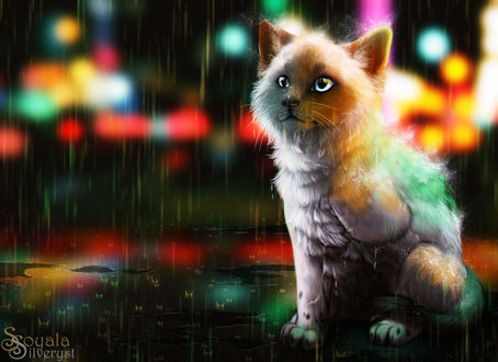 Обои на рабочий стол Кошка под дождем, by Soyala Silveryst