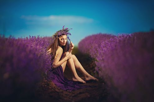 Обои на рабочий стол Девушка сидит на поле с лавандой. Фотограф Иван Славов