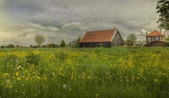 Обои на рабочий стол Домики на цветущем весеннем поле. Фотограф JHanna