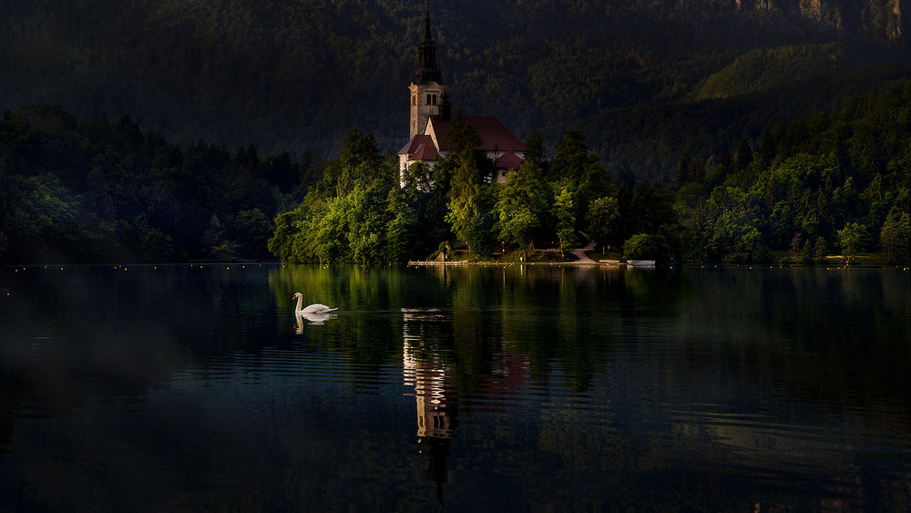 Обои для рабочего стола Утро на озере Bled, Slovenia / Блед, Словения, by Irca & Jacky K