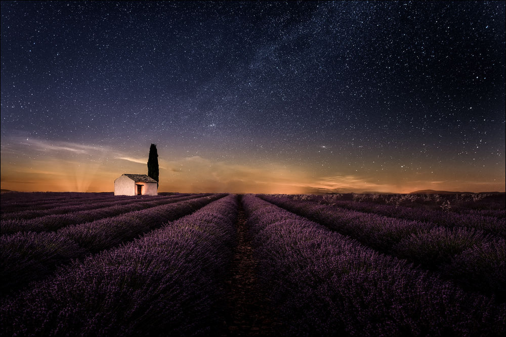 Обои для рабочего стола Лавандовое поле под ночным небом. Фотограф Georg Scharf