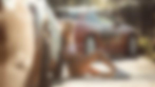 Обои на рабочий стол Модель сидит на земле у авто