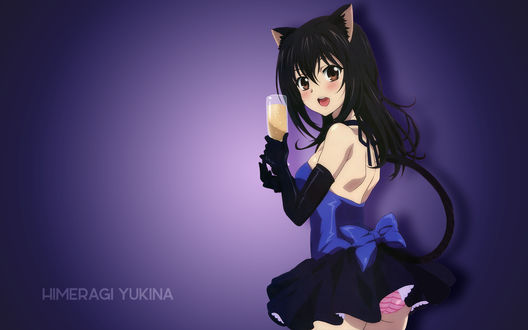 Обои на рабочий стол Yukina Himeragi / Юкина Химэраги из аниме Strike the Blood / Удар крови, by AssassinWarrior