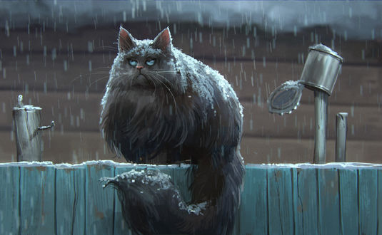 Обои на рабочий стол Толстый кот сидит на заборе под снегопадом, by Daria Rashev