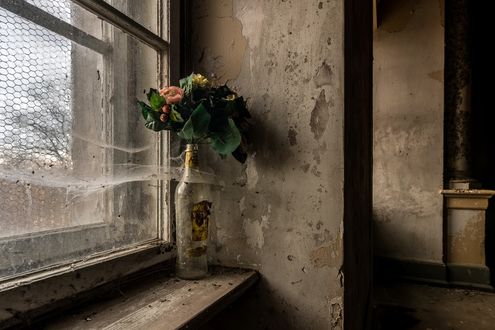 Обои на рабочий стол На окне заброшенного дома стоит сухой букет