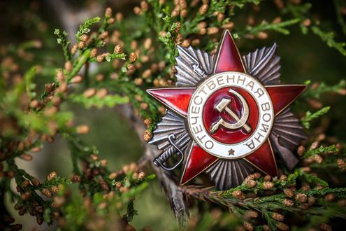 Обои на рабочий стол Орден Отечественной войны среди веток дерева
