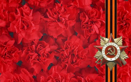 Обои на рабочий стол Орден Отечественной войны на Георгиевской ленточке на фоне красных гвоздик
