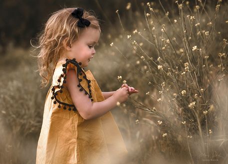 Обои на рабочий стол Девочка стоит у полевых цветов, by Jessica Drossin