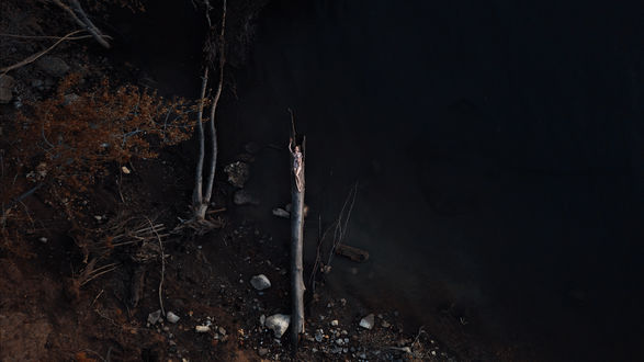 Обои на рабочий стол Модель Ангелина лежит на бревне над водой, фотограф Густарев Максим