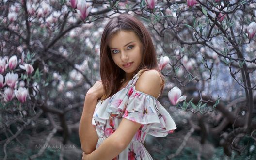 Обои на рабочий стол Модель Klaudia стоит на фоне цветущей магнолии, фотограф Car Andrzej