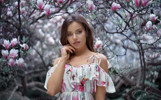 Обои на рабочий стол Модель Klaudia стоит на фоне цветущей магнолии, фотограф Car Andrzej