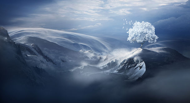 Обои на рабочий стол Стая белых птиц летит возле Snow tree / Снежного дерева в горах зимой, by ElenaDudina