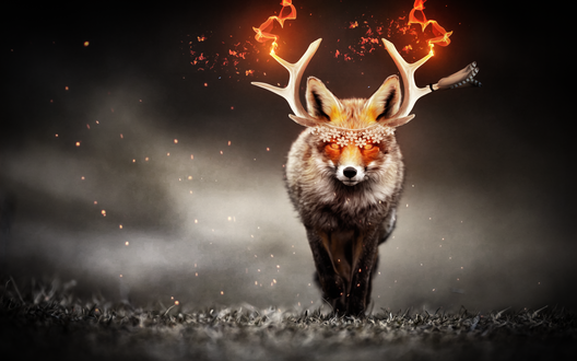 Обои на рабочий стол Лиса с горящими рогами оленя, by 0l-Fox-l0