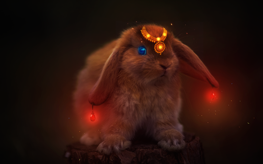 Обои на рабочий стол Кролик со светящимися сережками, by 0l-Fox-l0
