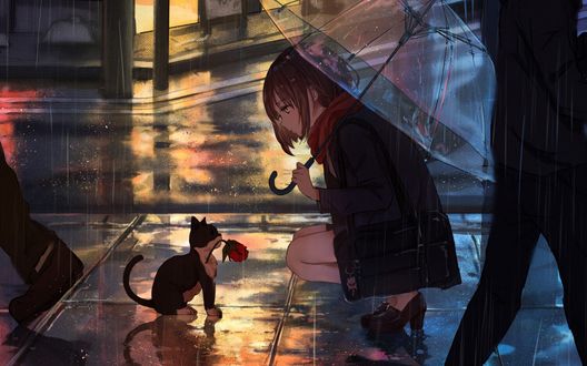 Обои на рабочий стол Девочка с зонтом сидит перед котенком с розой, by Fan Zhen