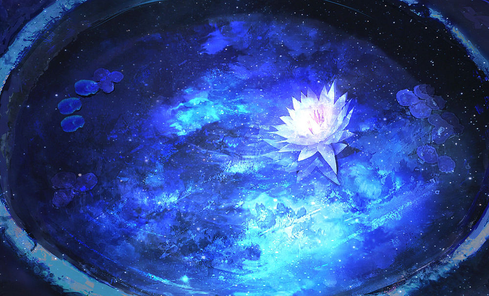 Обои для рабочего стола Цветок лотоса плавает в воде искусственного водоема, в котором отражается ночное небо