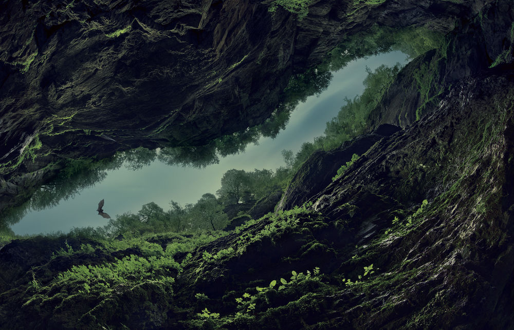 Обои для рабочего стола Летучая мышь, летящая над пещерой в горах с растительностью, вид снизу, фотограф Christian Schmidt