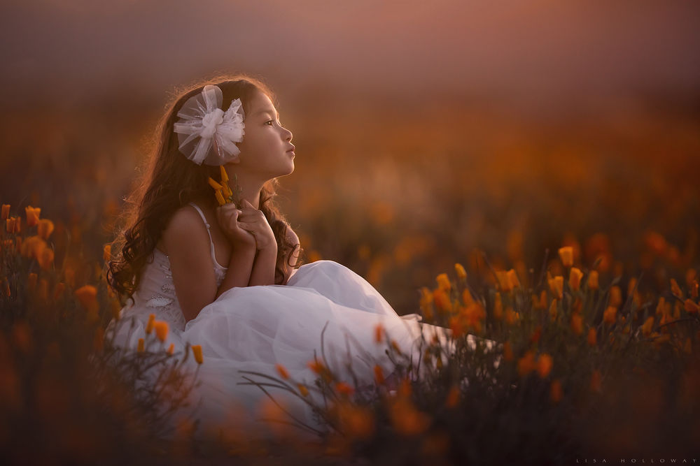 Обои для рабочего стола Девочка сидит среди цветов, фотограф Lisa Holloway