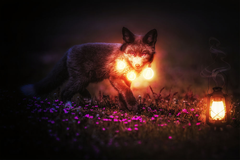 Обои для рабочего стола Лиса со светящимися шарами, by 0l-Fox-l0