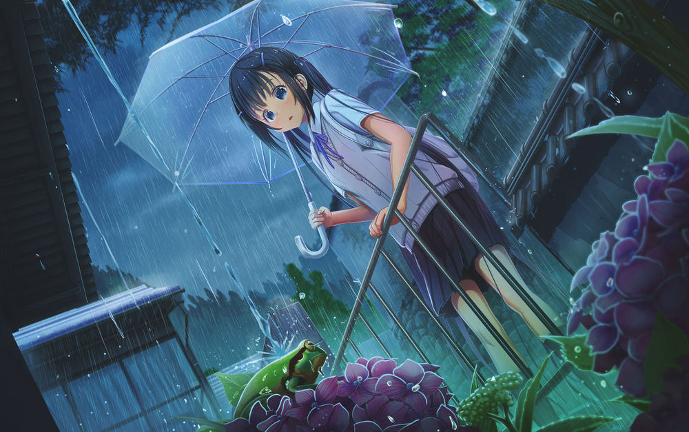 Обои для рабочего стола Девушка с зонтом в руке, стоя под проливным дождем, смотрит на лягушку сидящую на цветках гортензии, оригинальная работа by Abo (kawatasyunnnosukesabu)