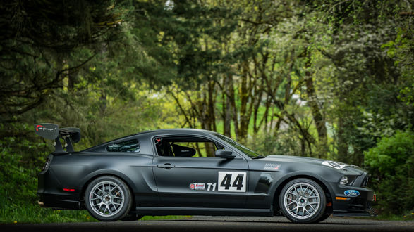 Обои на рабочий стол Спортивный серый Ford Mustang Boss 302S стоит на дороге у леса