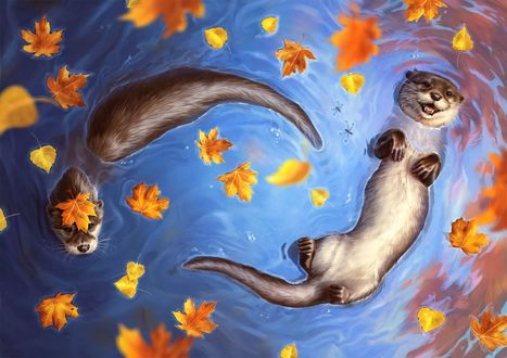 Обои на рабочий стол Две выдры в воде, by Johanna Tarkela