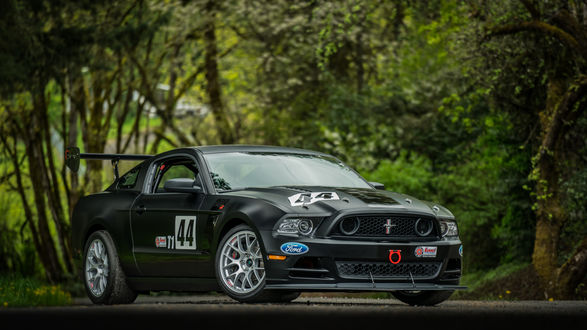 Обои на рабочий стол Спортивный серый Ford Mustang Boss 302S стоит на дороге у леса
