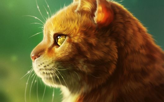 Обои на рабочий стол Рыжая кошка в профиль, by Kate Zhbanova