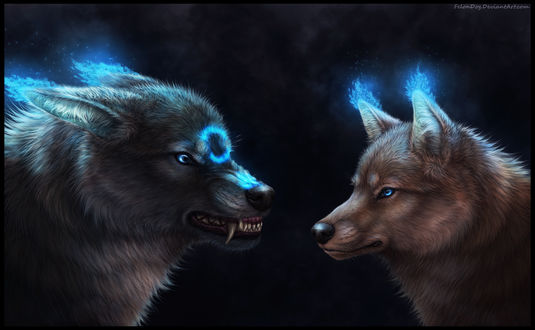 Обои на рабочий стол Два волка стоят друг напротив друга, by FelonDog