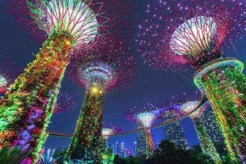 Обои на рабочий стол Ночной вид на башни в виде деревьев с подсветкой, Singapore / Сингапур