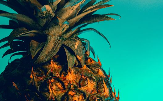 Обои на рабочий стол Ананас на голубом фоне, by Natasha Reddy