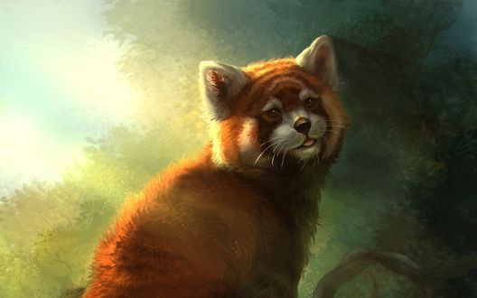 Обои на рабочий стол Рисованная панда, by Grayfox Windmill