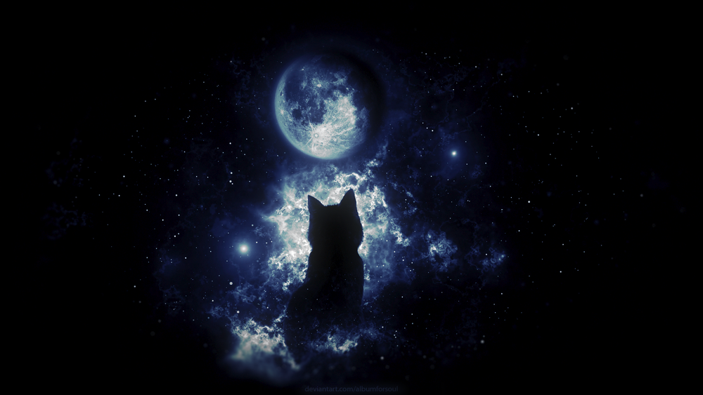 Обои для рабочего стола Силуэт кошки на фоне ночного неба с луной, by Albumforsoul