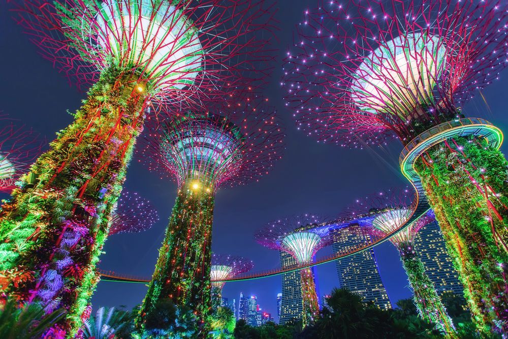 Обои для рабочего стола Ночной вид на башни в виде деревьев с подсветкой, Singapore / Сингапур