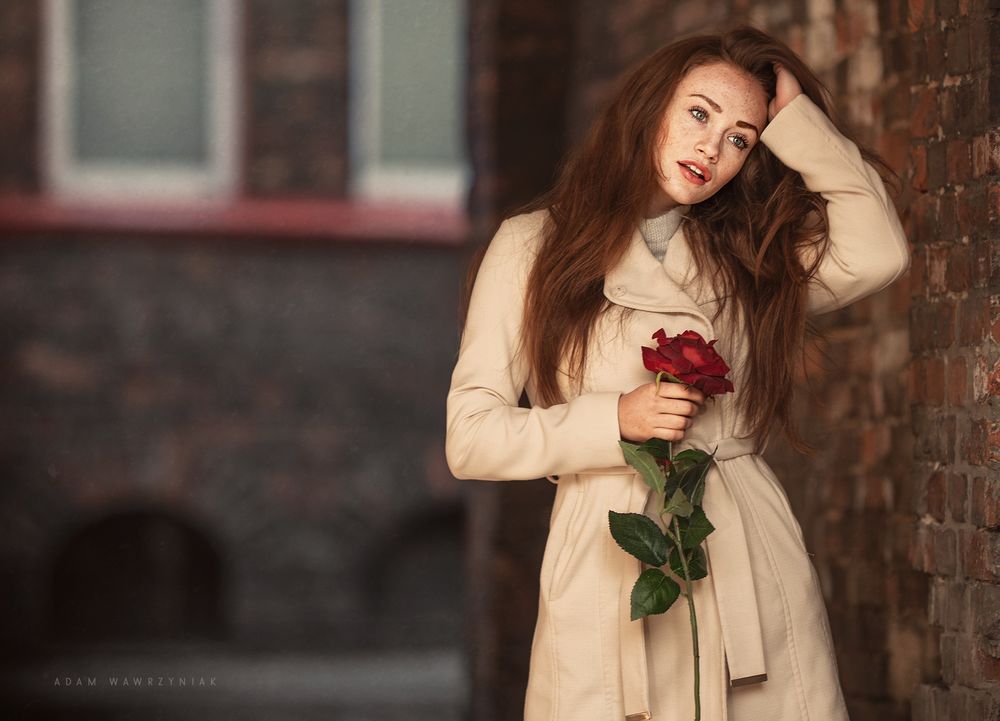 Обои для рабочего стола Девушка в плаще с красной розой в руке, фотограф Adam Wawrzyniak
