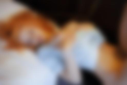 Обои на рабочий стол Рыжеволосая порномодель Zarina A в приспущенной футболке с обнаженной грудью лежит на кровати в помещении