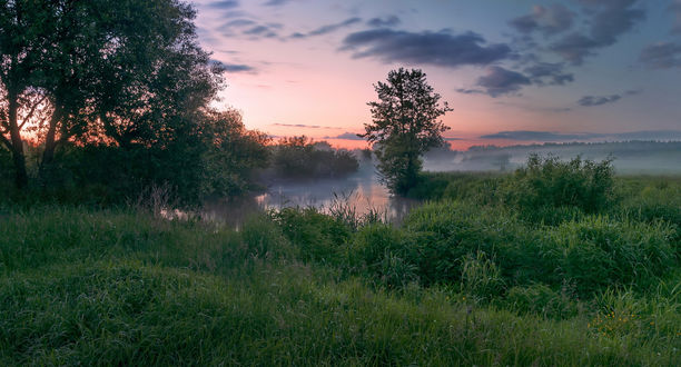 Обои на рабочий стол Деревья у реки, фотограф Aleksandr Hvozd