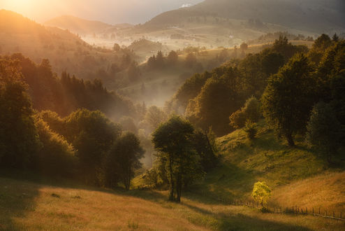 Обои на рабочий стол Солнечный свет после дождя, Romania / Румыния, фотограф Краси Матаров