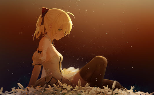 Обои на рабочий стол Saber Lily / Сэйбер Лили персонаж из компьютерных игр Fate: unlimited codes и Fate: Grand Order
